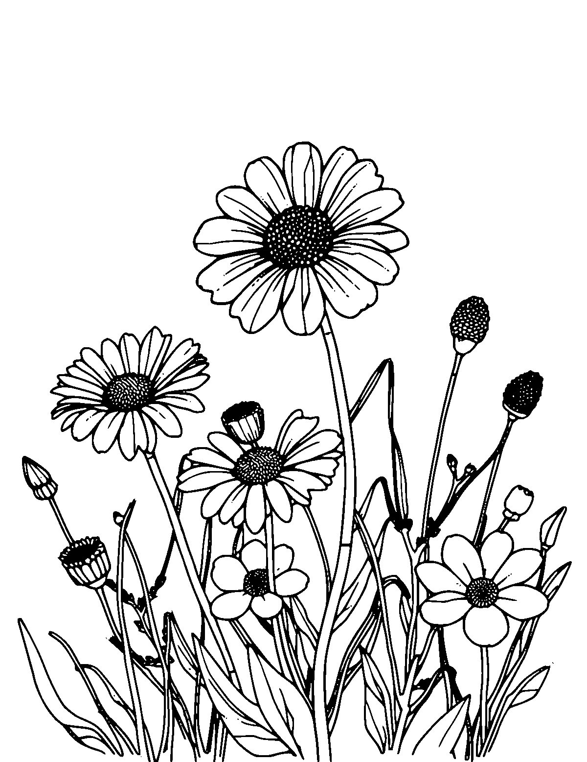 Line-art coloring page of Wildflowers, medium outlines, centered