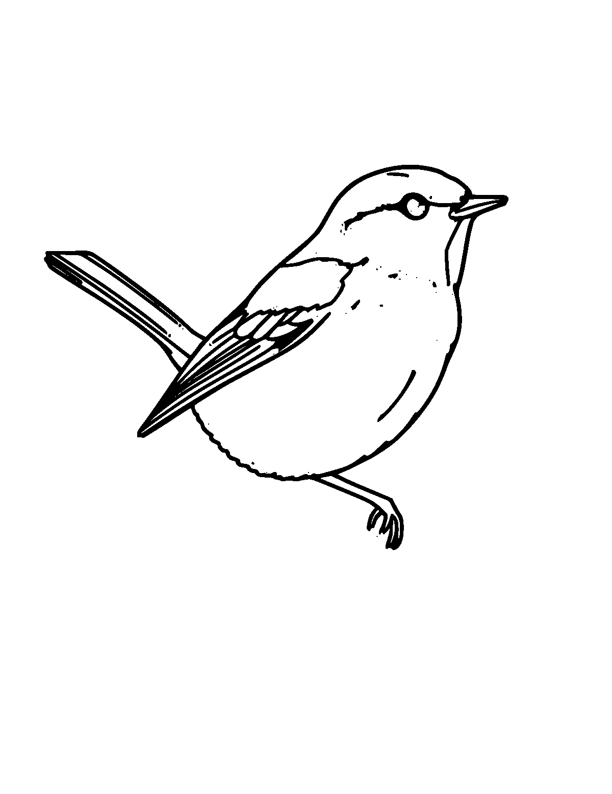 Line-art coloring page of Wren, medium outlines, centered