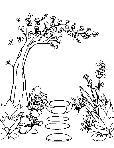 Zen Garden