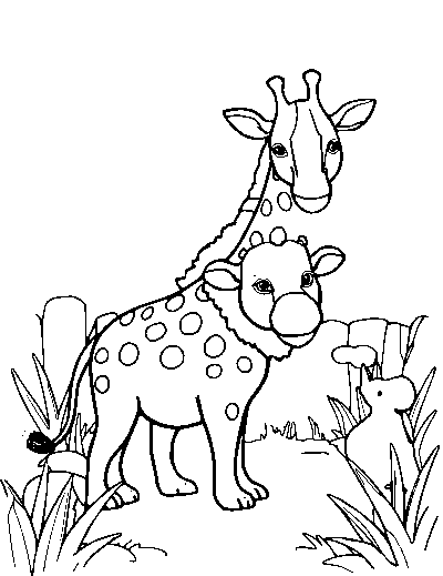 Zoo